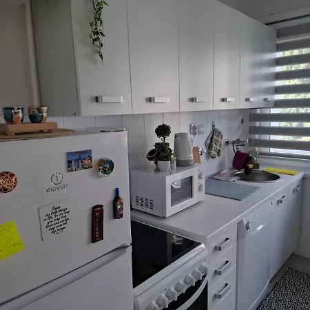 Wilson's Park Apartment