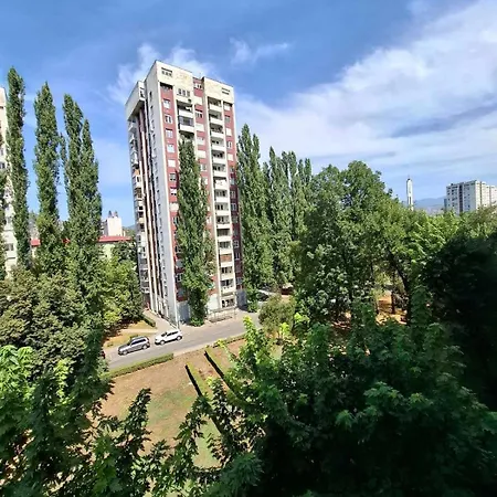 Wilson's Park *